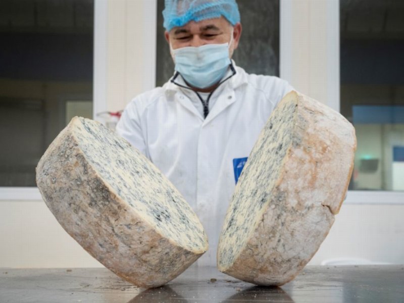 Gorgonzola Dop: oltre 2 milioni di forme esportate nel 2023