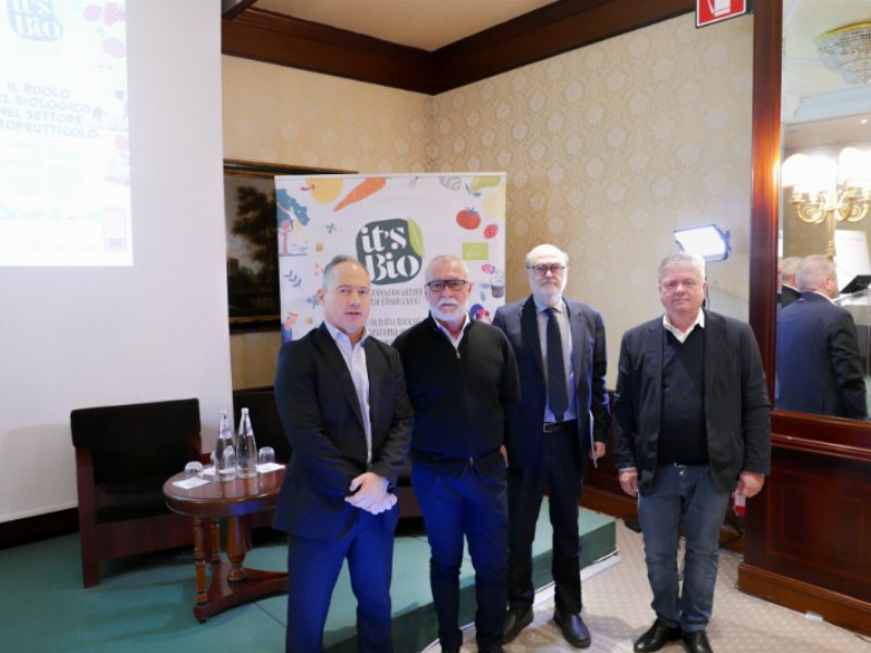 I tre ingredienti vincenti per il successo del biologico in ortofrutta