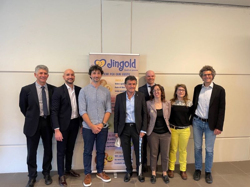 Jingold per l’innovazione e l’efficientamento della filiera del kiwi giallo