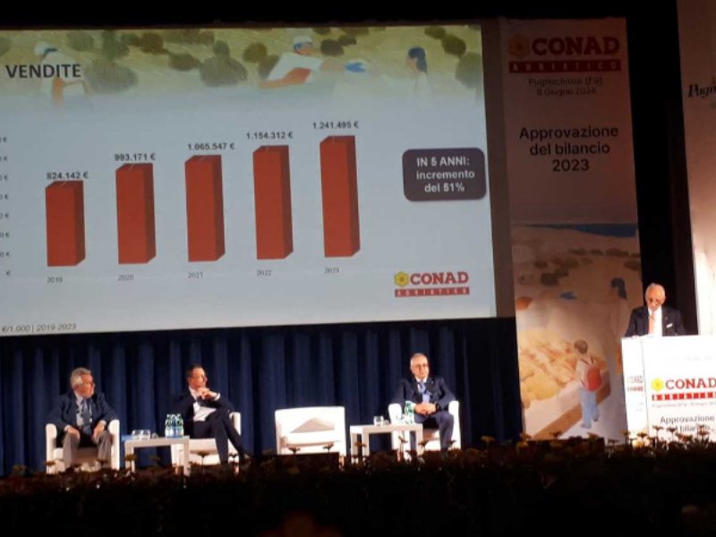 La Mdd traina le vendite di Conad Adriatico: ricavi a 2,1 miliardi