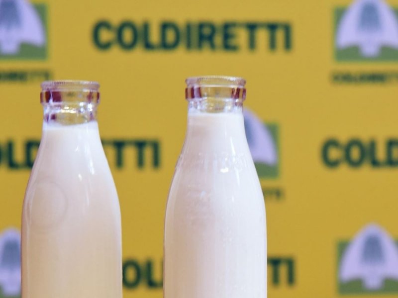 Pratiche sleali: arrivano altre 4 multe a Lactalis. Lollobrigida apre al dialogo