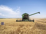 Granoro pubblica il secondo bilancio di sostenibilità