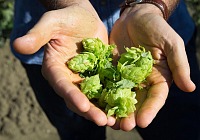 Carlsberg Italia presenta “Brewing tomorrow”, la nuova strategia Esg di Gruppo