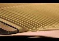 Vitavigor: innovazione e sostenibilità al centro della crescita