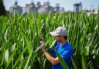 MartinoRossi: crescita del 32% e filiera agricola sostenibile da 16.000 ettari