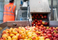 Futura: responsabilità, territorio e persone nel primo report di sostenibilità