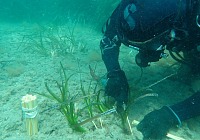 Nivea Oasi Marina: tre anni di impegno per la tutela del Mar Mediterraneo
