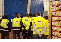 Dole Italia e Associazione Next favoriscono l’inserimento nel lavoro di persone svantaggiate