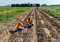 Romagnoli F.lli presenta il quinto Rapporto di sostenibilità
