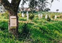 Despar rafforza l’impegno per la biodiversità con nuovi rifugi  per le api selvatiche in Italia