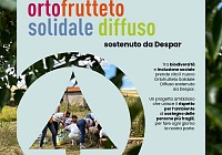 Despar porta in sette territori italiani nuovi spazi di agricoltura solidale