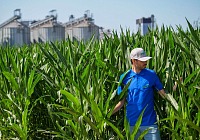 MartinoRossi-Galbusera: meno acqua ed emissioni di CO2 nel test sulla coltura del mais bianco