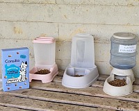 Consilia e Italmark sostengono la prima colonia felina in una scuola primaria