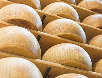 Il primo quotidiano online sulla GDO - Distribuzione Moderna