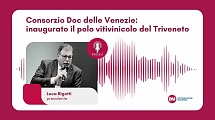 Podcast: Rigotti (Consorzio Doc delle Venezie), inaugurato il polo vitivinicolo del Triveneto