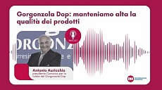 Antonio Auricchio, Gorgonzola Dop