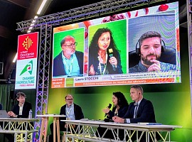 Albicocche: produzione europea in ripresa sul 2025. Italia stabile