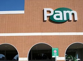 Pam Panorama copre tutta la rete con il fotovoltaico Iberdola