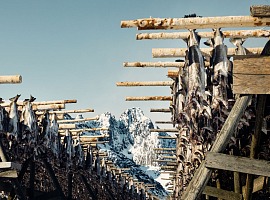 Il Norwegian Seafood Council porta l’eccellenza ittica norvegese a TuttoFood
