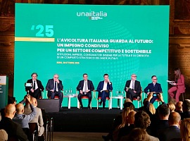 Unaitalia: nel 2024 i consumi pro capite di carni bianche superano i 22 kg