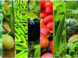 Siciliafiera e Cesena fiera: protocollo d’intesa per la promozione del comparto ortofrutticolo