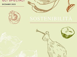 DMM Speciale Sostenibilità 2025