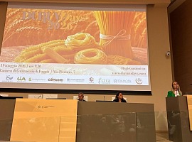Grano duro: nel 2026 surplus produttivo per il mercato globale