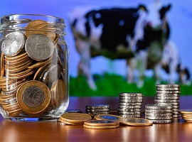 Lattiero-caseario: Banca Intesa stanzia un miliardo e mezzo