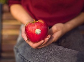 Ambrosia: stagione 2025 all’insegna della qualità e di una comunicazione potenziata