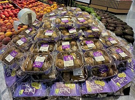 Dulcis sbarca a Dubai: il kiwi 100% italiano prosegue la sua crescita internazionale