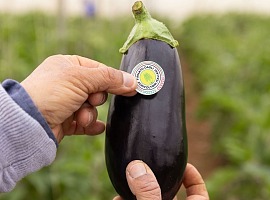 Lidl insieme a filiera agricola italiana per valorizzare i protagonisti dell