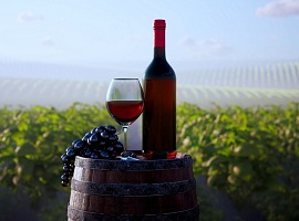 Compagnia del gusto si beve Cantine Romagnoli, dopo l’acquisto di Krumiri Rossi