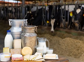 Lattiero-caseario: il valore della filiera sale a 29 miliardi di euro