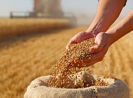 Casillo conferma l’acquisizione di due impianti produttivi da Barilla