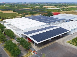 Agrintesa: approvato il bilancio 2025-2026 con un valore alla produzione in forte crescita
