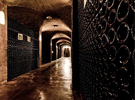 Torna il Festival Franciacorta in Cantina 2026, dove il vino diventa esperienza Torna il Festival Franciacorta in Cantina 2026, dove il vino diventa esperienza