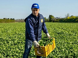 Orogel: da Cdp e Bcc Iccrea arriva un maxifinanziamento per le filiere agricole