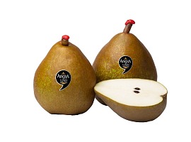 Pera Angys: al via in anticipo la nuova stagione con una campagna digital e in store a supporto