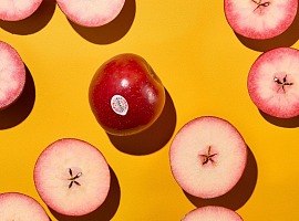 Kissabel continua a crescere: successo in Europa e stagione al via nell’emisfero Sud