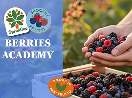 Spreafico dà vita alla Berries Accademy per affiancare la Gdo nello sviluppo della categoria