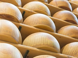 Dalterfood Group  consolida la crescita nei mercati europei