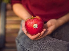 Ambrosia: una stagione solida tra qualità e mercati dinamici