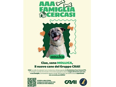 Crai insieme a Fondazione Cave Canem Ets per sostenere i cani in cerca di famiglia
