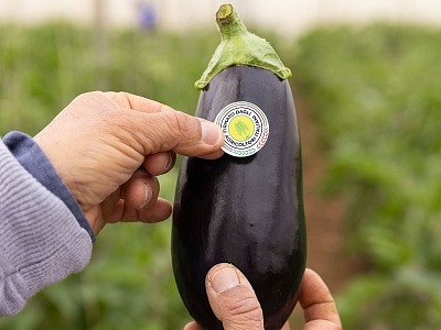 Lidl insieme a filiera agricola italiana per valorizzare i protagonisti dell'ortofrutta