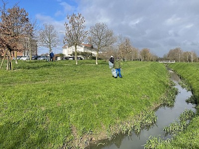 Molino Rachello rinnova l’impegno a favore della sostenibilità ambientale