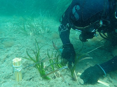 Nivea Oasi Marina: tre anni di impegno per la tutela del Mar Mediterraneo