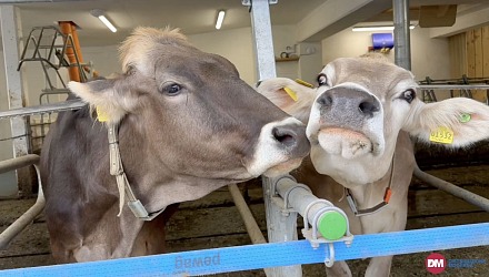 Video: Brimi evolve il brand e lancia un nuovo claim