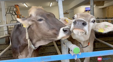 Video: Brimi evolve il brand e lancia un nuovo claim