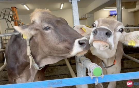 Video: Brimi evolve il brand e lancia un nuovo claim