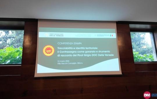 Video: Il Consorzio Doc delle Venezie accelera sul contrassegno tricolore di Stato